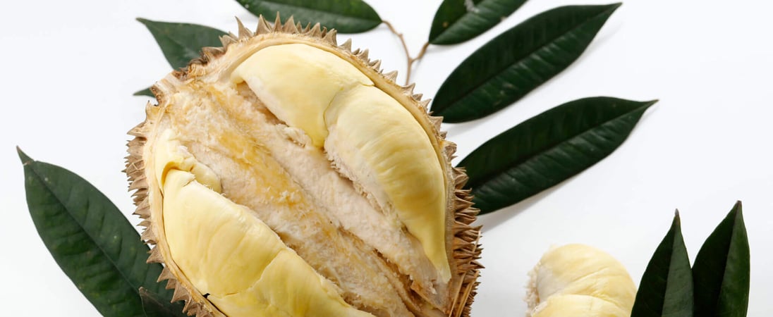 Durian Fruit Day