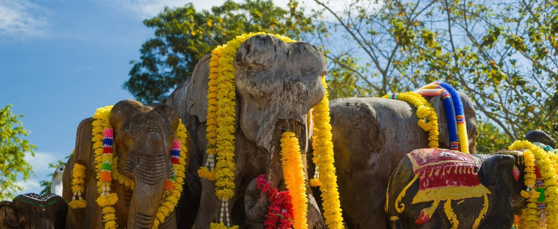 Elephant Round-Up in Surin