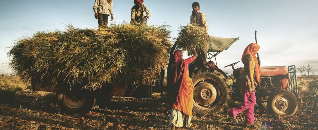 National Farm Workers Day