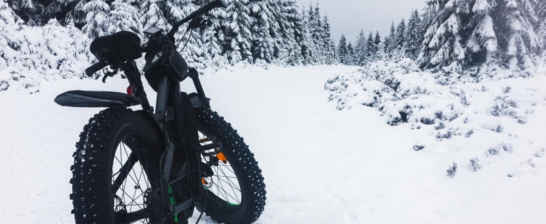 Global Fat Bike Day