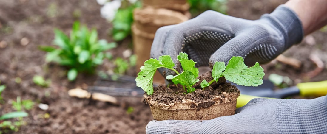 National Garden Month