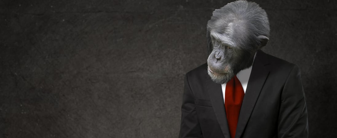 National Gorilla Suit Day