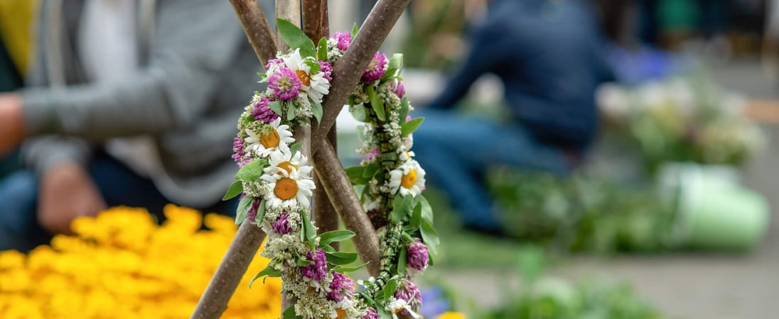 Haybuis Armenian Herb Festival