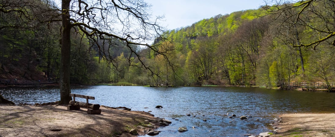 I Love My State Parks Week