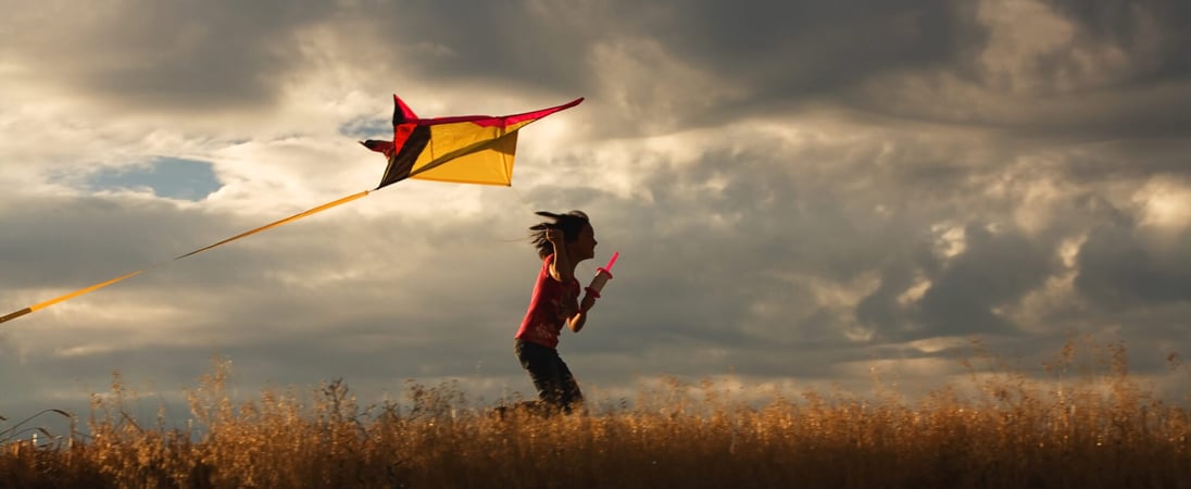 National Kite Flying Day