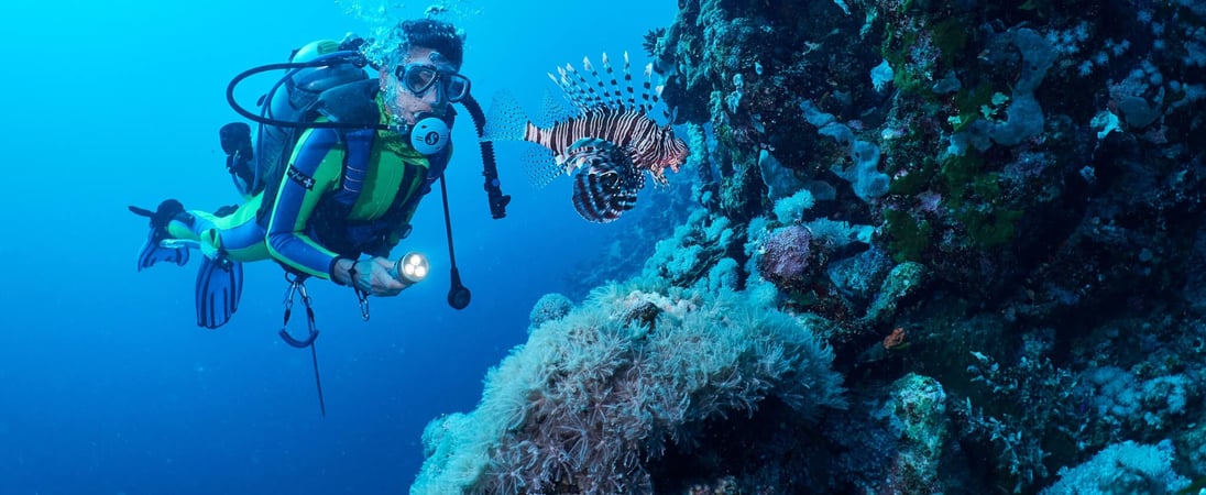 International Scuba Day