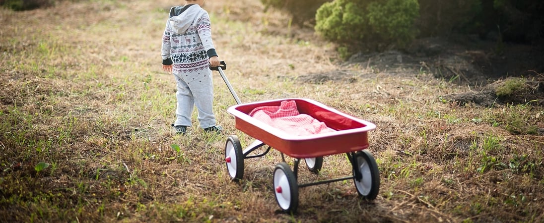 Little Red Wagon Day