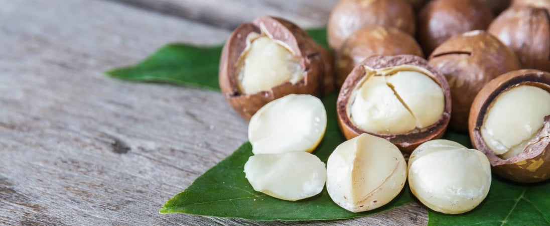 National Macadamia Nut Day