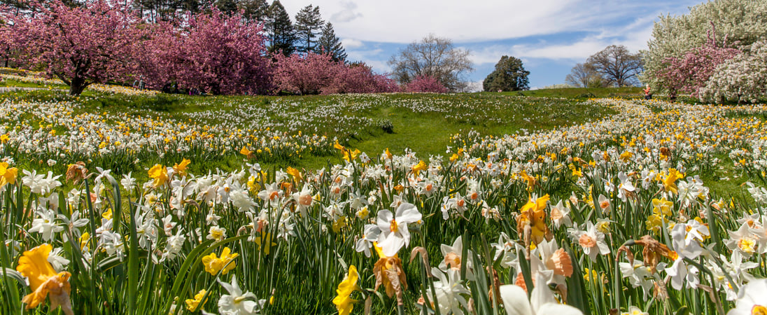 March Equinox