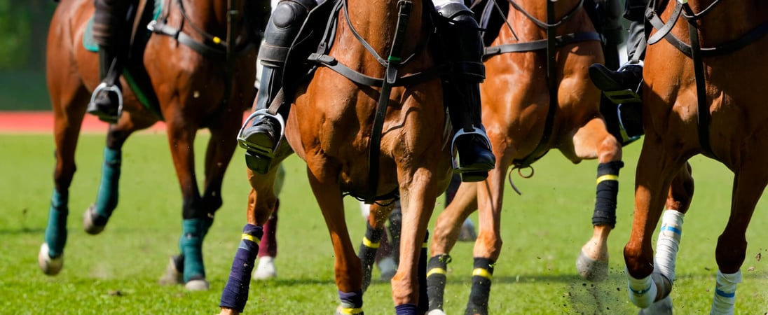 Melbourne Cup Day