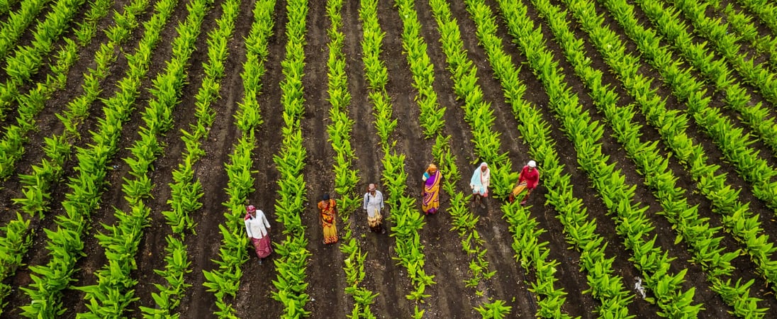 National Agriculture Week