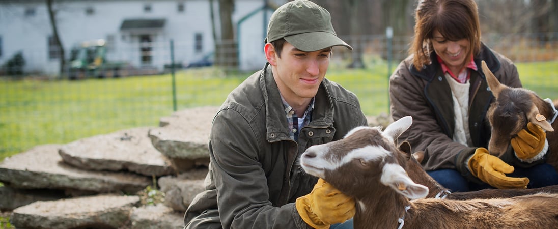 National Animal Safety and Protection Month