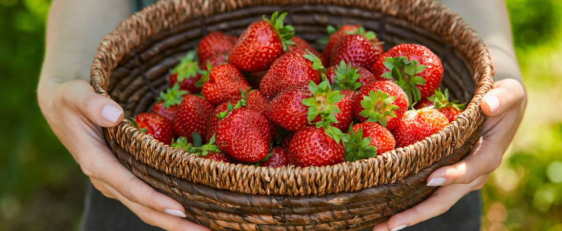 National California Strawberry Day