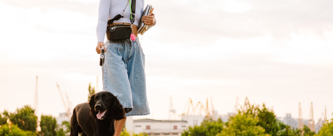 National Dog Walker Appreciation Day