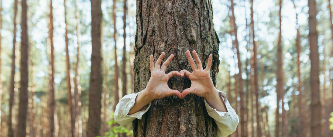 National Love a Tree Day