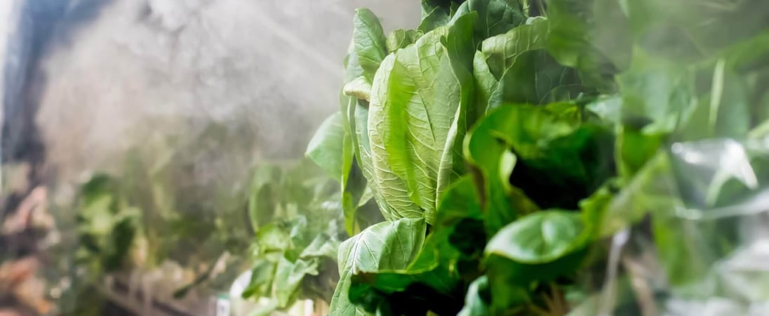 National Produce Misting Day