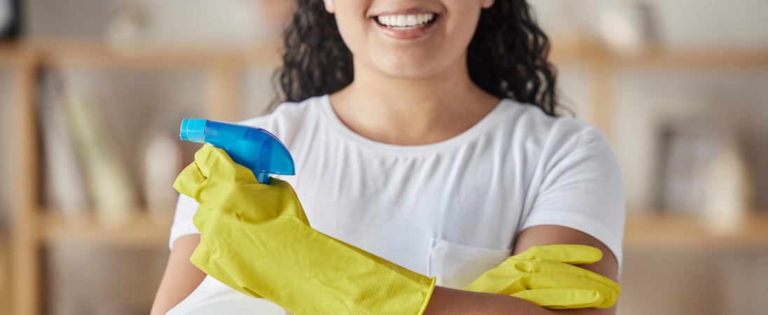 National Professional House Cleaners Day