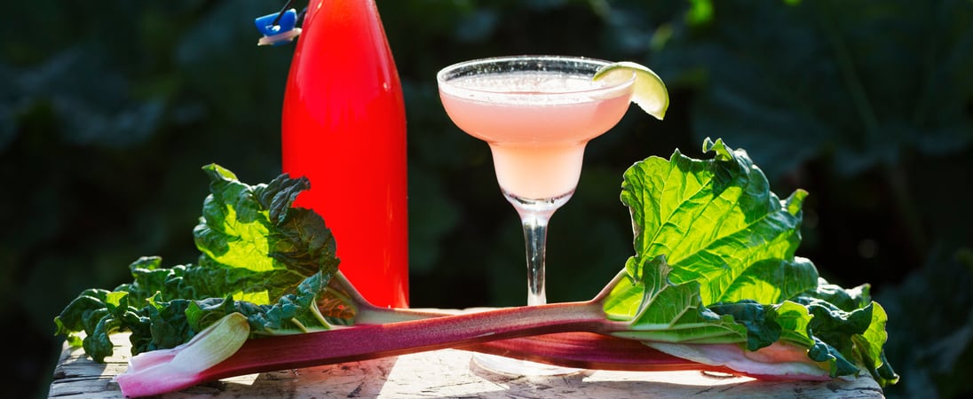 National Rhubarb Vodka Day