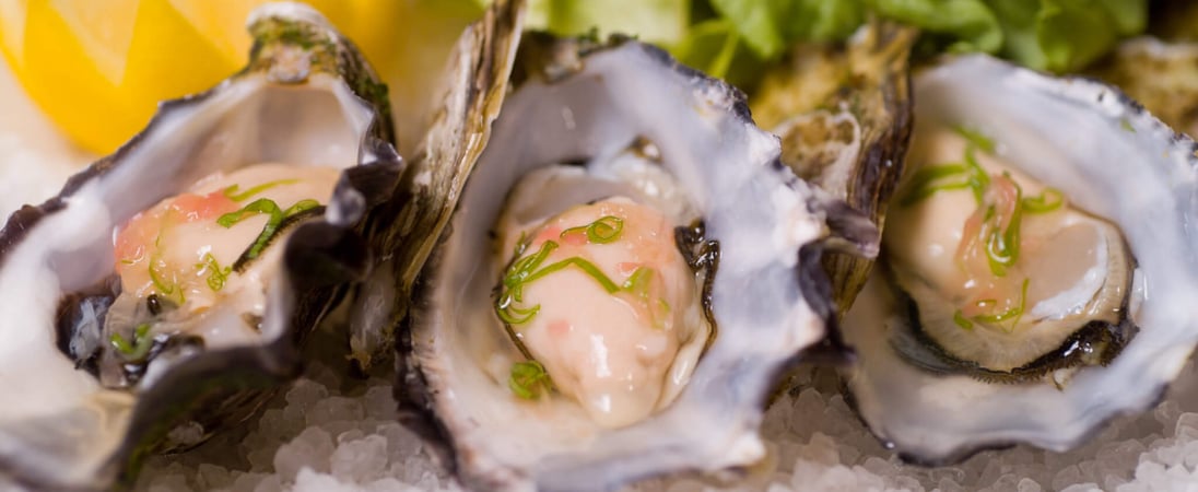 National Oyster Day