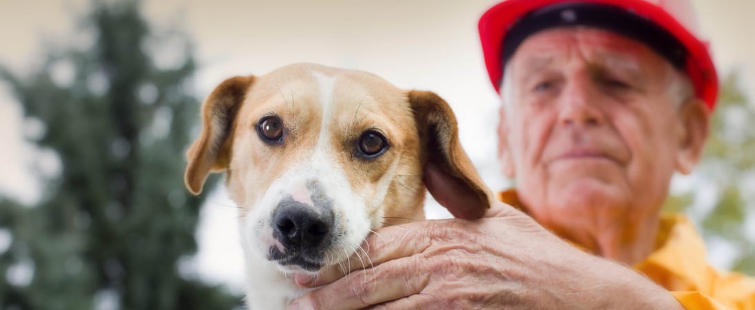 National Pet Fire Safety Day