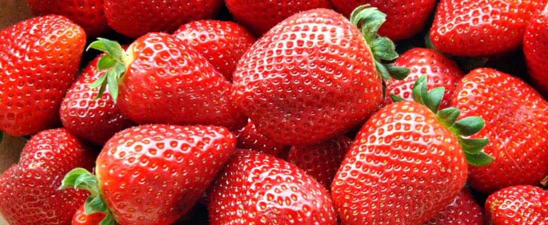 National Pick Strawberries Day