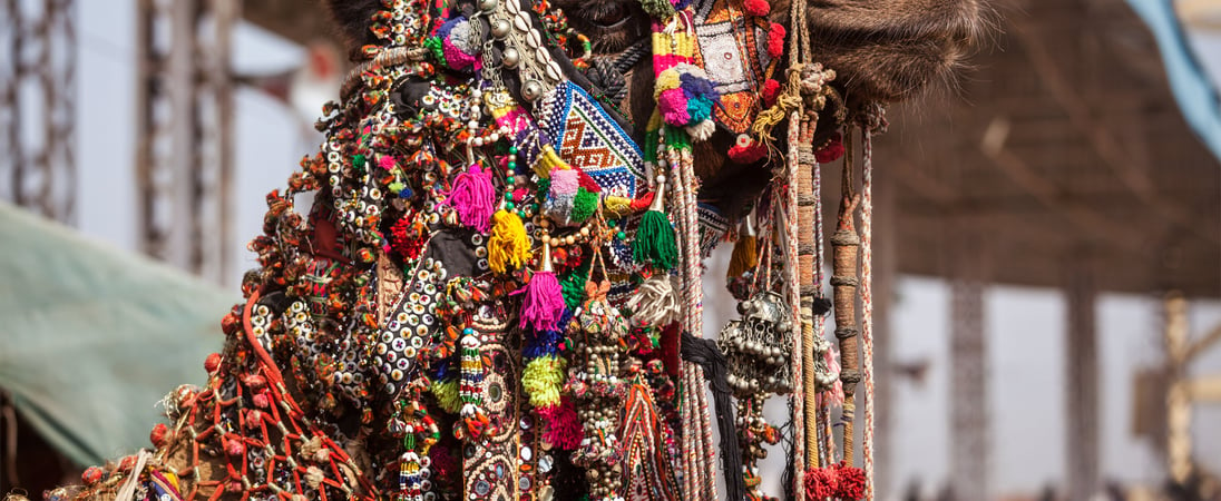 Pushkar Camel Fair