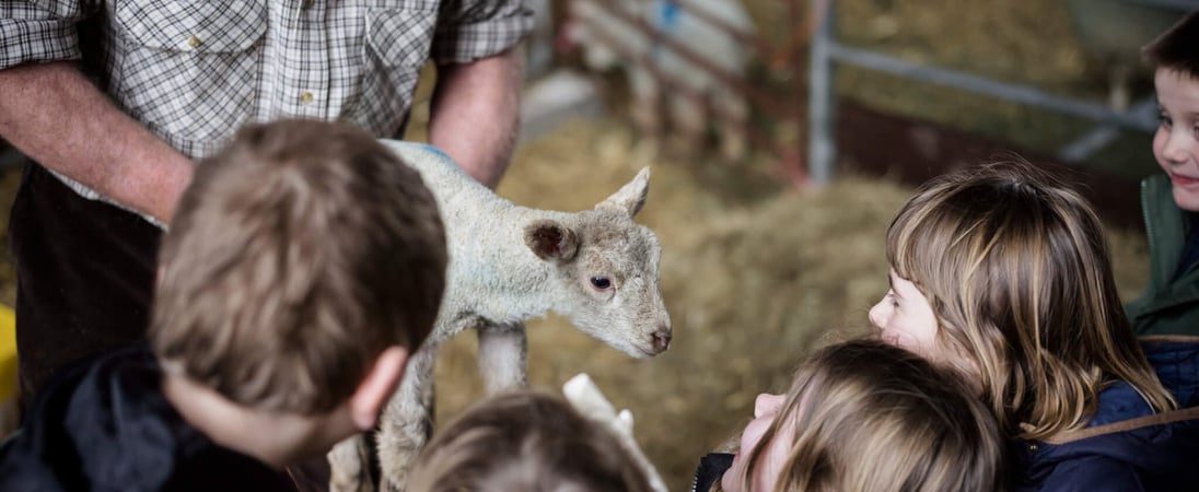 Royal National Agricultural Show Day Queensland