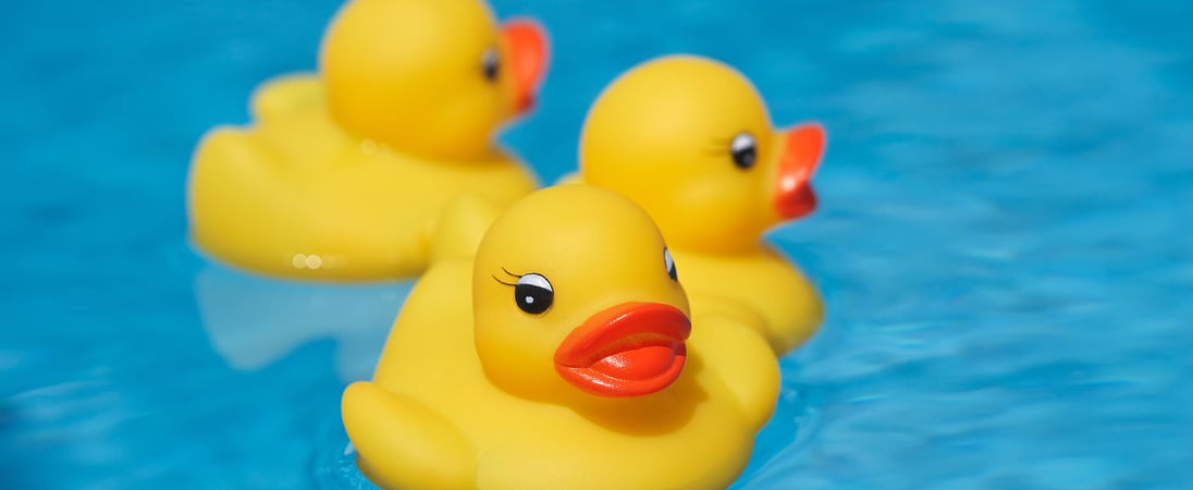 National Rubber Ducky Day