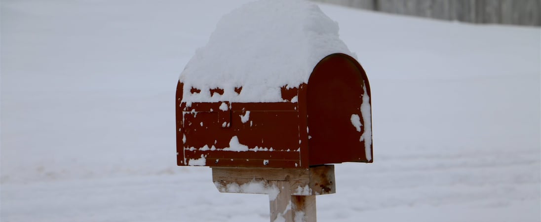 Snowplow Mailbox Hockey Day