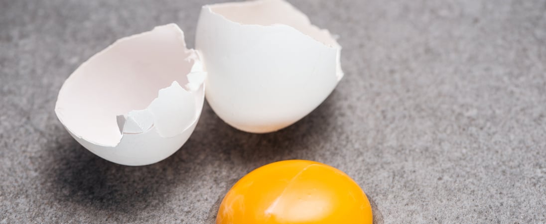 Sidewalk Egg Frying Day