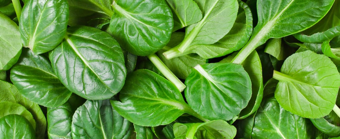 National Spinach Day