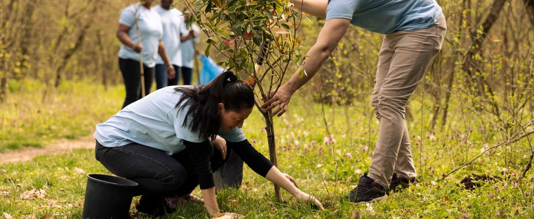 National Tree Week