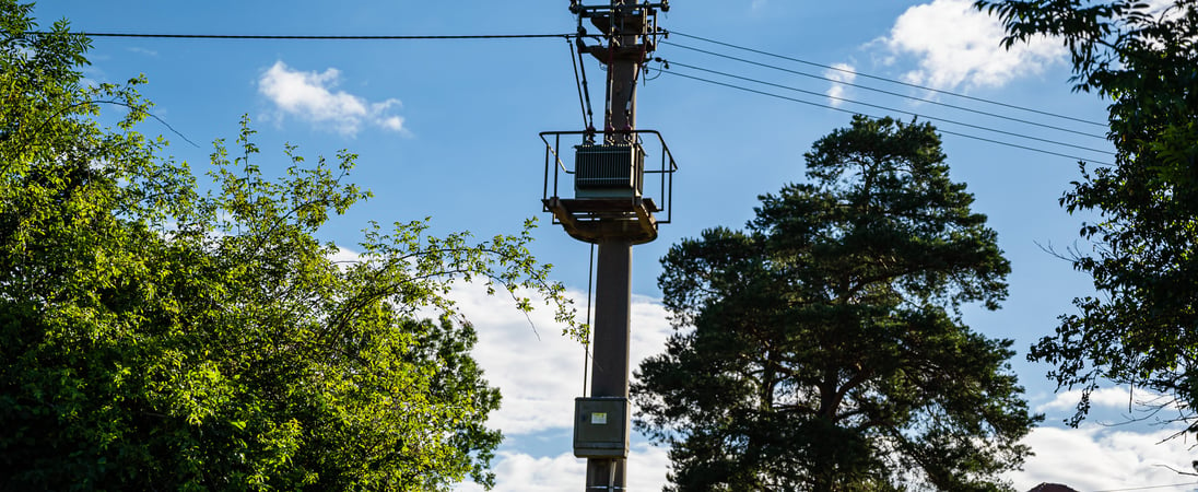 Telegraph Pole Appreciation Day