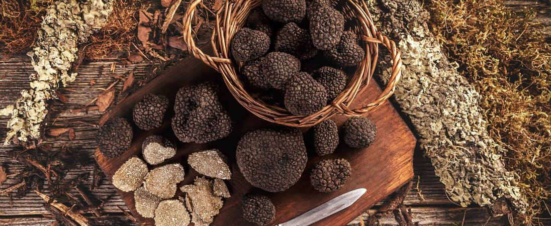 Truffle Days in Croatia