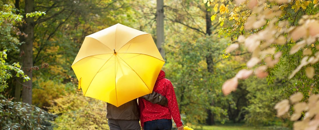 National Umbrella Day