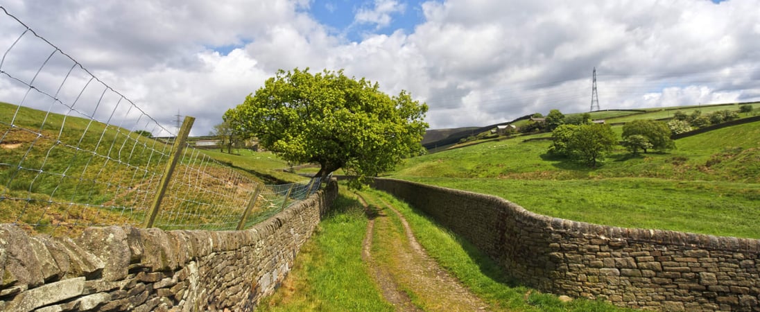 Yorkshire Day