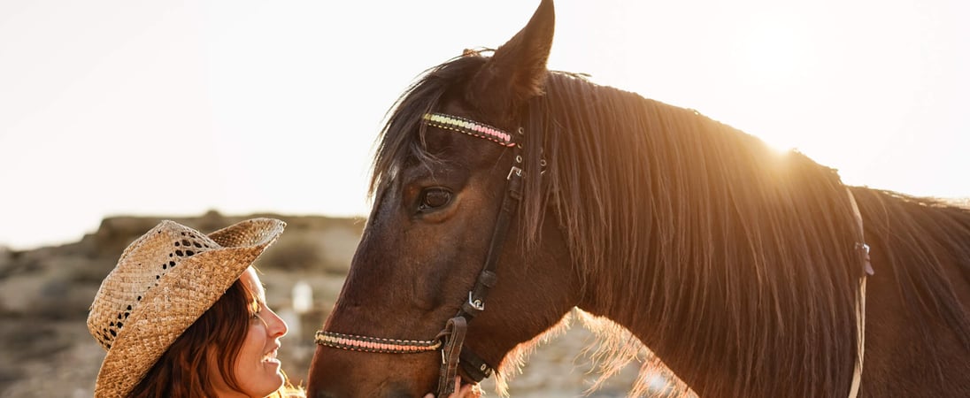 Horse Rescue Day