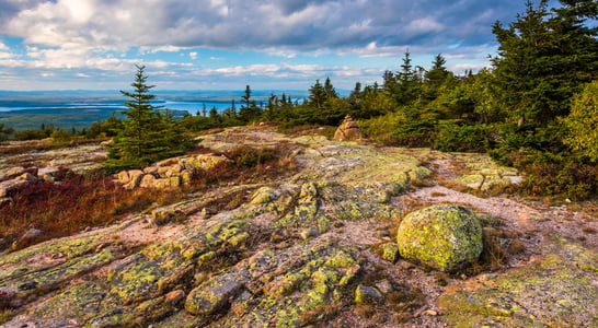 National Acadian Day