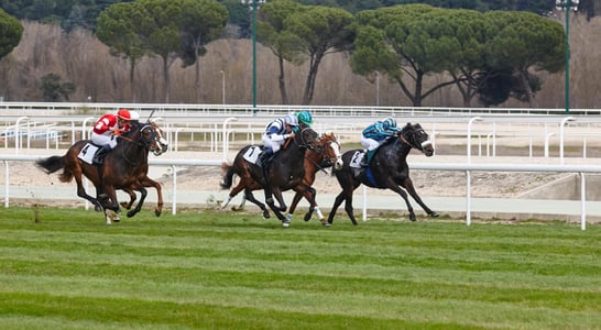 Adelaide Cup Day