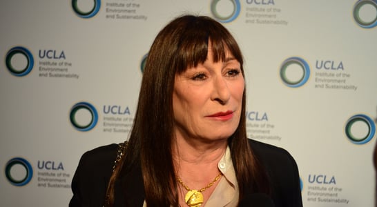 Anjelica Huston