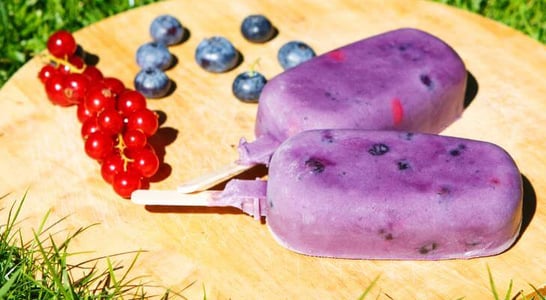 National Blueberry Popsicle Day