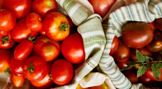 British Tomato Fortnight