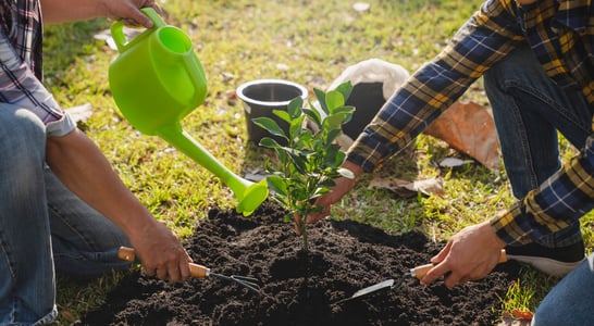 Canadian Environment Week