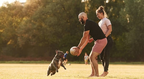 Canine Fitness Month