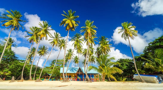 Caribbean American Heritage Month