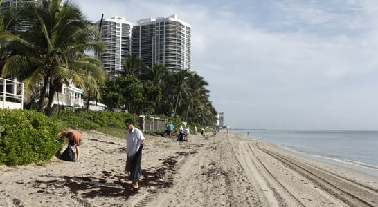 International Coastal Cleanup Day