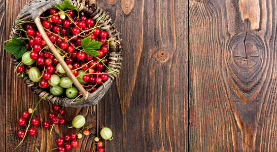 Cranberries and Gooseberries Month