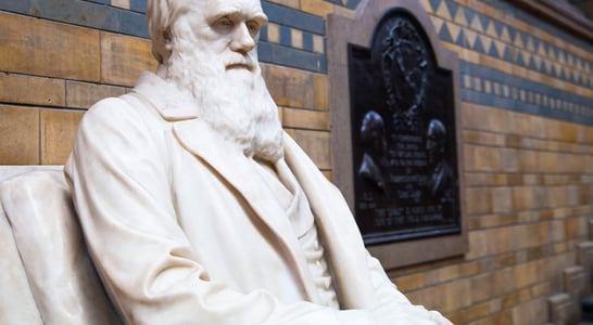 Darwin Day