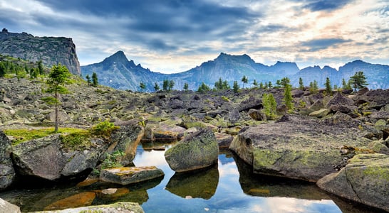 Discover National Parks Fortnight