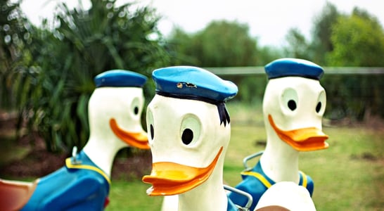 National Donald Duck Day